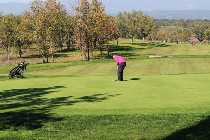 11201917_1122435814433173_5653757771118057550_n