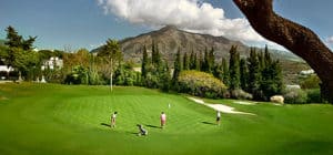 gallery-people ALOHA-2