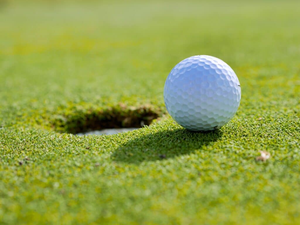Significado de los términos de aves en el golf