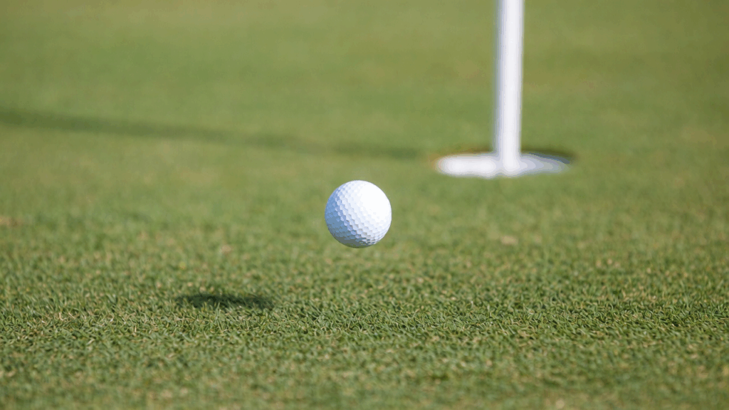 Optimización del Spin